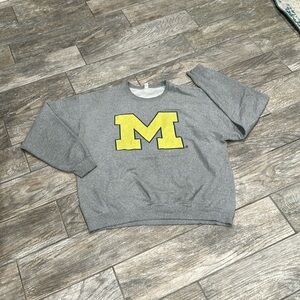 Jer-zees nublend Grey Michigan sweatshirt size XL